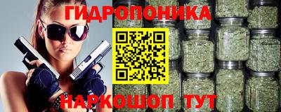 сатива Тара