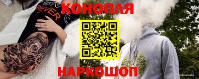 сатива Тара
