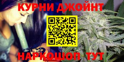 сатива Тара