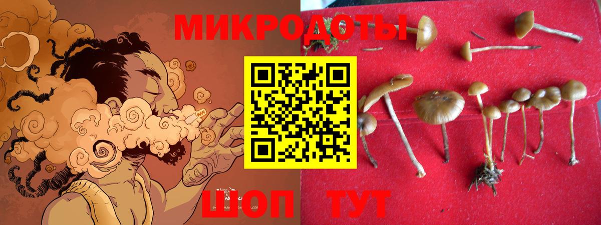 Псилоцибиновые грибы прущие грибы  цена наркотик  Мытищи  Вход с VPN 